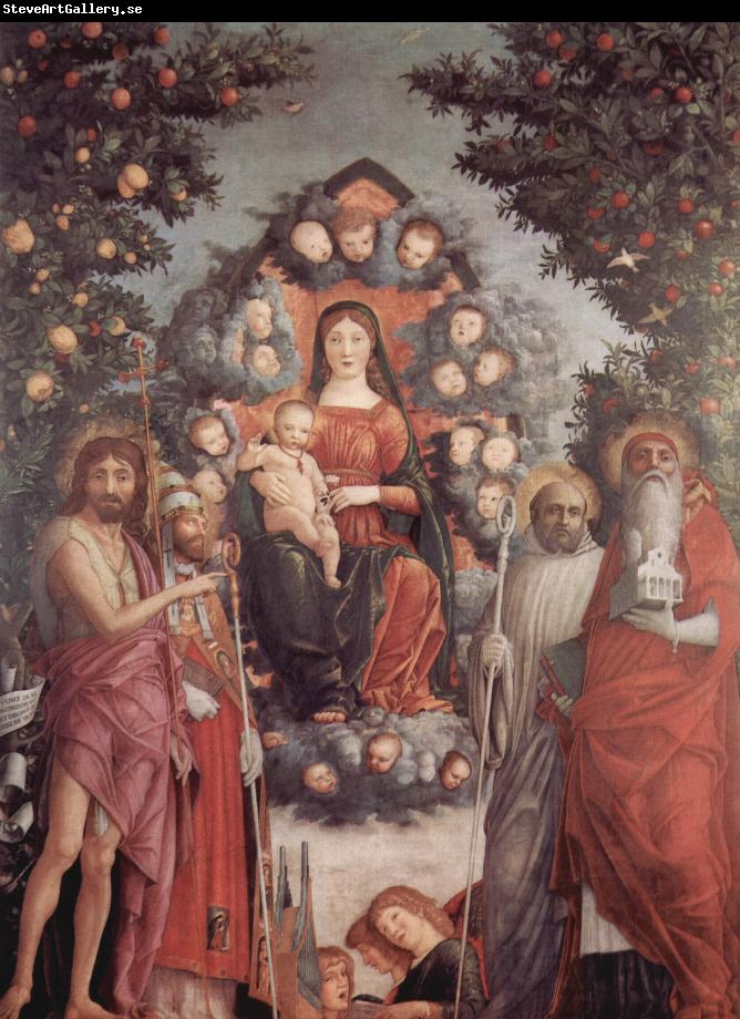 Andrea Mantegna Trivulzio Madonna